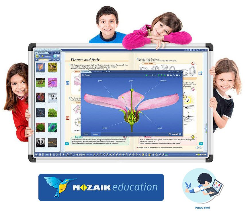 Software Mozaik Student , lectii interactive in timp real, licenta 1 / 1 an