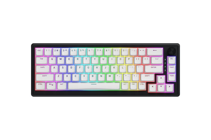 HATOR Skyfall 65 MAG ULTRA 8K. Keyboard form factor: 65%. Keyboard style: Straight. Connectivity technology: Wired, Device interface: USB, Keyboard key switch: Magnetic-mechanical key switch, Keyboard layout: QWERTY. Backlight type: RGB LED. Recommended usage: Gaming. Product colour: Black, White