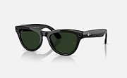 ORW4014 META SKYLER High Bridge Fit - Shinny Black - Graphite Green Transitions®