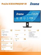 iiyama XCB3497WQSNP-B1 Monitor ProLite 34  IPS UW Curbat HAS + Norton Small Business 250G