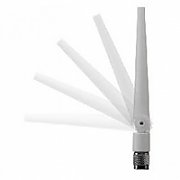 2.4 GHz 2 dBi/5 GHz 4 dBi Dipole Ant., White, RP-TNC_4