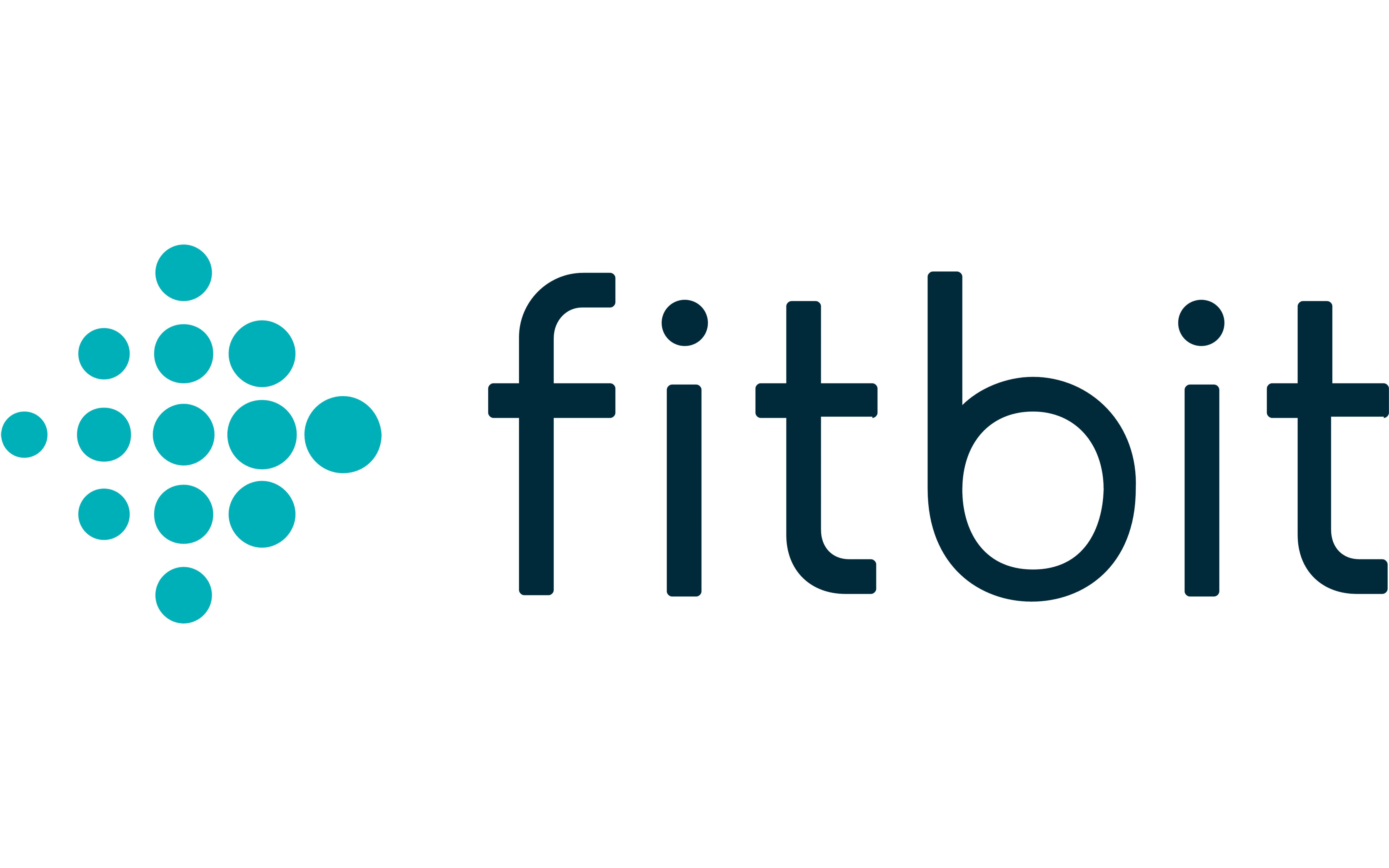 produse Fitbit